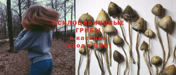 гашишное масло Михайловка