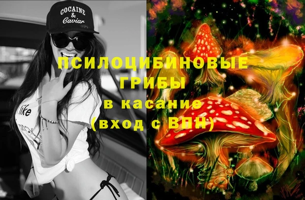 PSILOCYBIN Майский